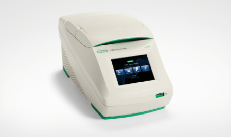 Bio-Rad T100 Thermal Cycler PCR Machine