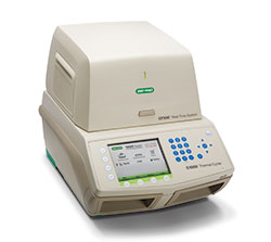 CFX96 Touch Real-Time PCR Detection System