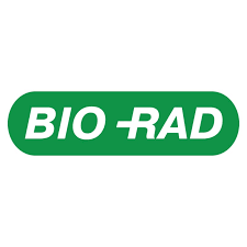 Biorad Thermocycler Real-Time PCR System